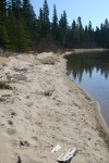 Tracks on Beach