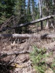 A better view of the trail to Sanctuary Lake.