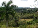 Cuban countryside