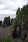 Hopewell Rocks 2