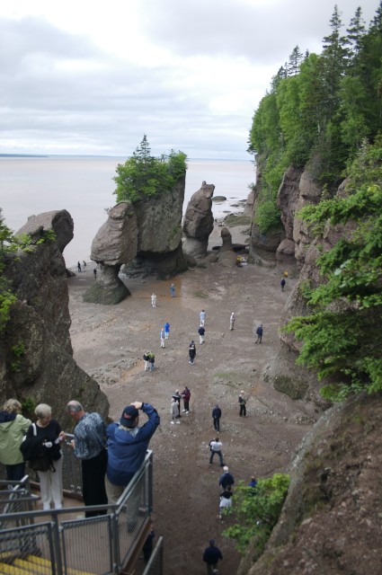 Hopewell Rocks 3