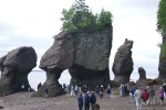 Hopewell Rocks 4