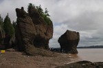 Hopewell Rocks 5