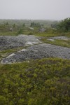 NS terrain around Peggy's Cove