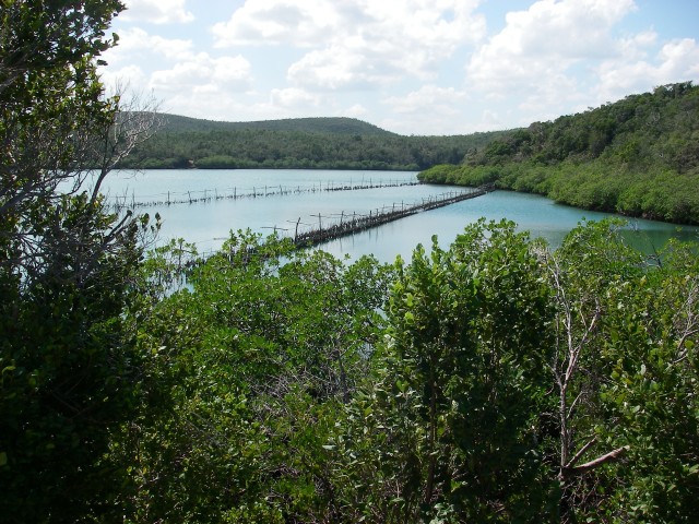 Oyster farm